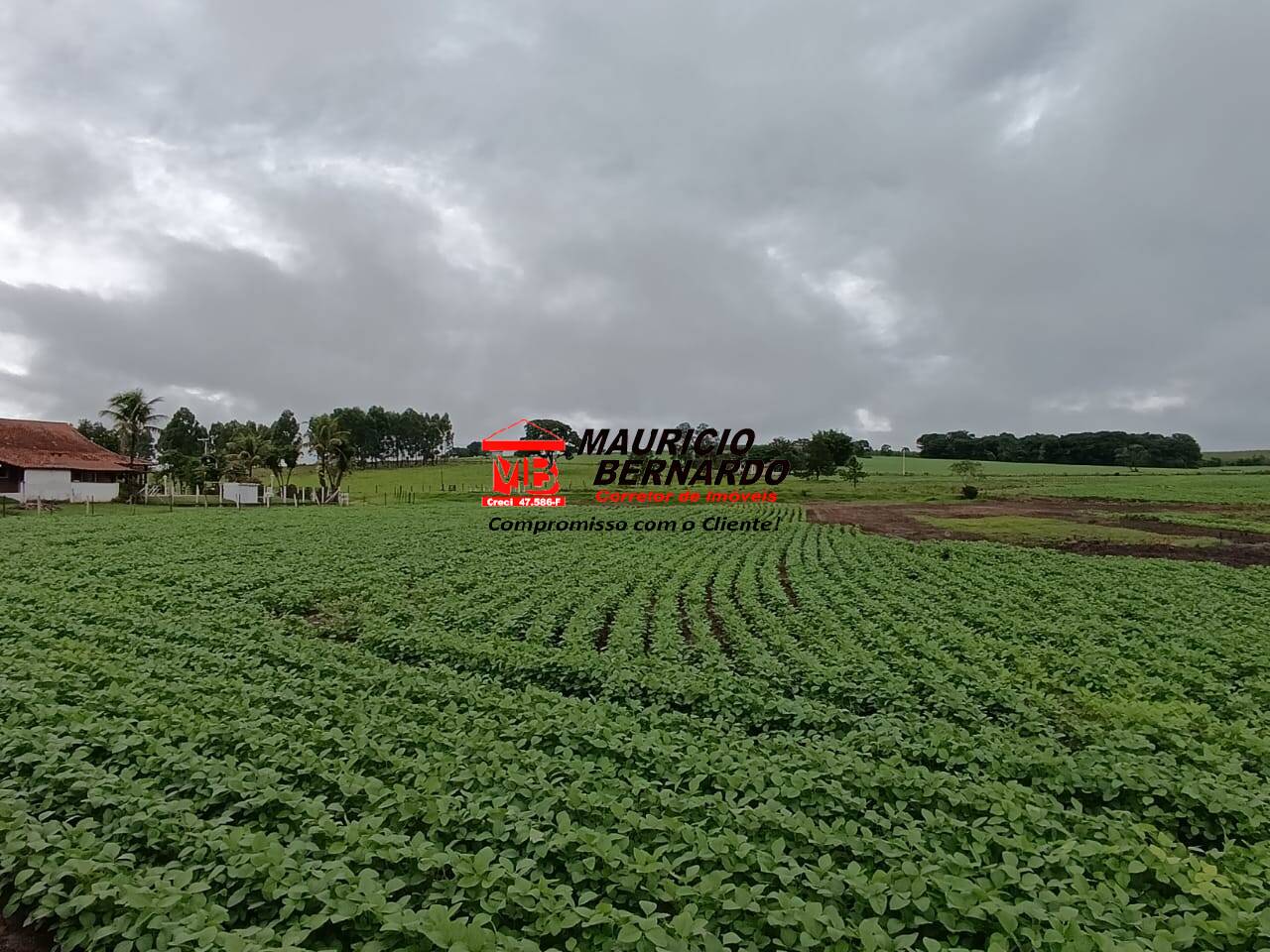 Fazenda, 75 m² - Foto 43