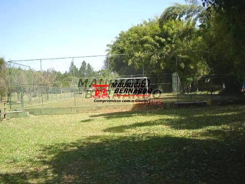 Sítio, 3 hectares - Foto 14