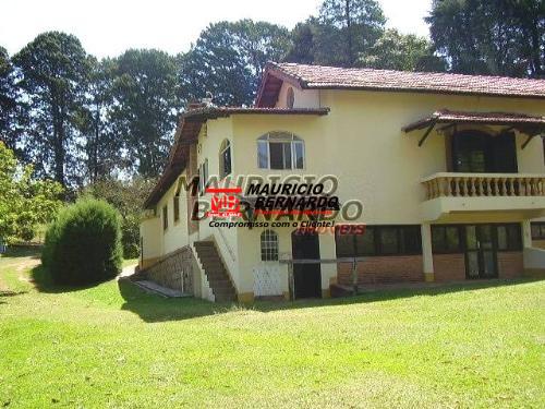 Sítio, 3 hectares - Foto 13