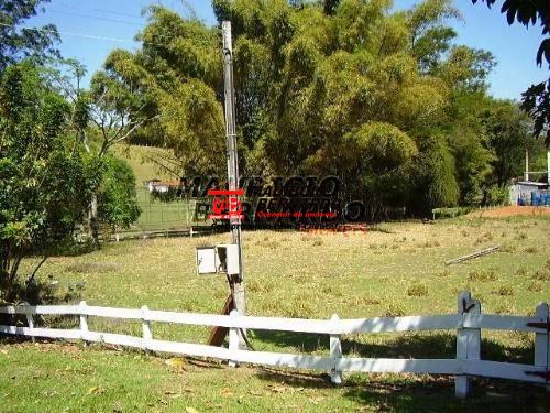 Sítio, 3 hectares - Foto 18